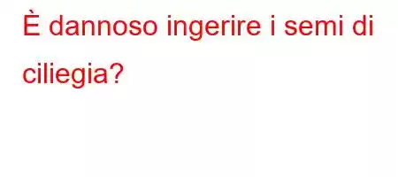 È dannoso ingerire i semi di ciliegia