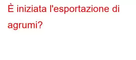 È iniziata l'esportazione di agrumi?