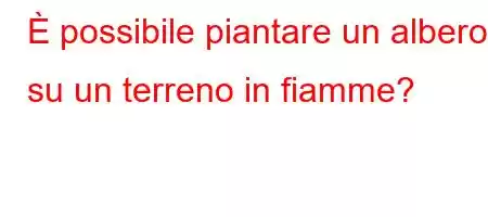 È possibile piantare un albero su un terreno in fiamme?