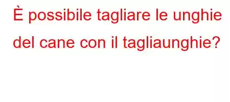 È possibile tagliare le unghie del cane con il tagliaunghie?