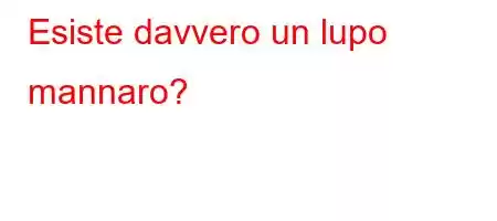 Esiste davvero un lupo mannaro?