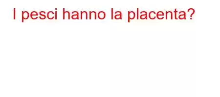 I pesci hanno la placenta?