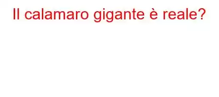 Il calamaro gigante è reale?