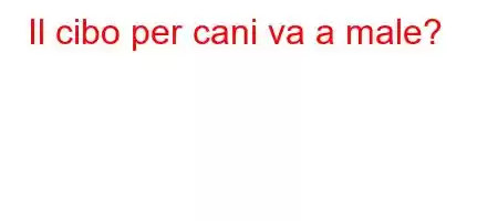 Il cibo per cani va a male