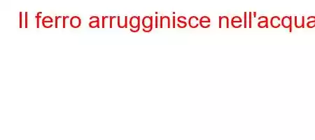 Il ferro arrugginisce nell'acqua