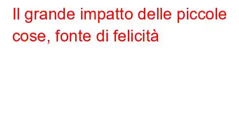 Il grande impatto delle piccole cose, fonte di felicità