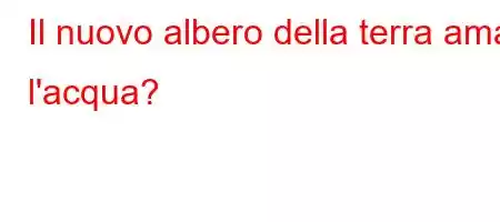 Il nuovo albero della terra ama l'acqua?