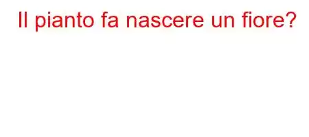 Il pianto fa nascere un fiore