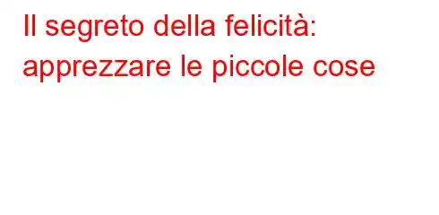 Il segreto della felicità: apprezzare le piccole cose