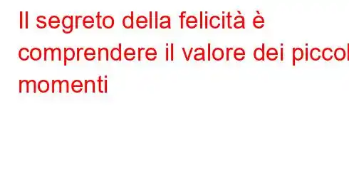 Il segreto della felicità è comprendere il valore dei piccoli momenti