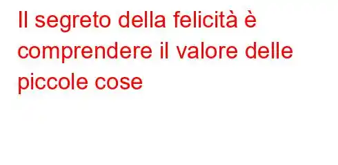 Il segreto della felicità è comprendere il valore delle piccole cose