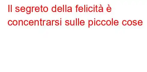 Il segreto della felicità è concentrarsi sulle piccole cose