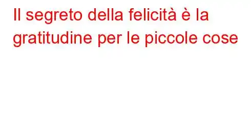 Il segreto della felicità è la gratitudine per le piccole cose