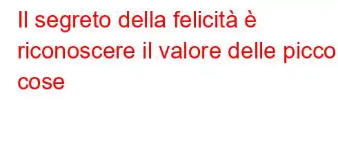 Il segreto della felicità è riconoscere il valore delle piccole cose