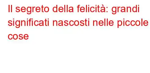 Il segreto della felicità: grandi significati nascosti nelle piccole cose