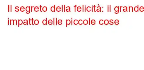 Il segreto della felicità: il grande impatto delle piccole cose