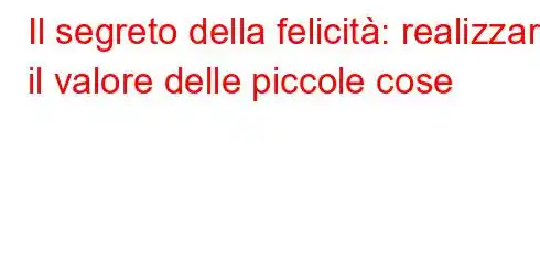 Il segreto della felicità: realizzare il valore delle piccole cose