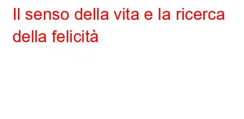 Il senso della vita e la ricerca della felicità