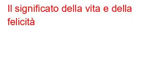 Il significato della vita e della felicità