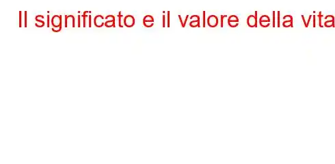 Il significato e il valore della vita