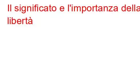 Il significato e l'importanza della libertà