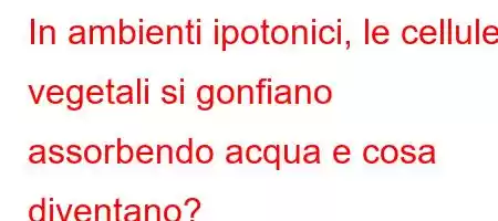 In ambienti ipotonici, le cellule vegetali si gonfiano assorbendo acqua e cosa diventano?