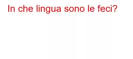 In che lingua sono le feci