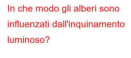 In che modo gli alberi sono influenzati dall'inquinamento luminoso?