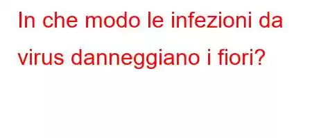 In che modo le infezioni da virus danneggiano i fiori