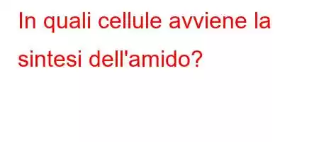 In quali cellule avviene la sintesi dell'amido?