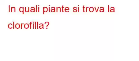 In quali piante si trova la clorofilla