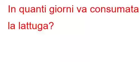 In quanti giorni va consumata la lattuga?