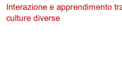 Interazione e apprendimento tra culture diverse