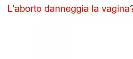 L'aborto danneggia la vagina?