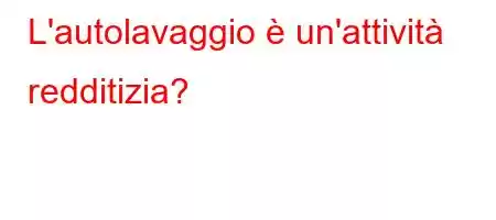 L'autolavaggio è un'attività redditizia