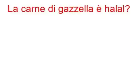 La carne di gazzella è halal