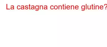 La castagna contiene glutine?