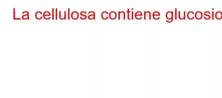 La cellulosa contiene glucosio?