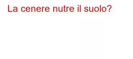 La cenere nutre il suolo?