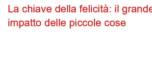 La chiave della felicità: il grande impatto delle piccole cose