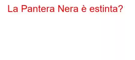 La Pantera Nera è estinta