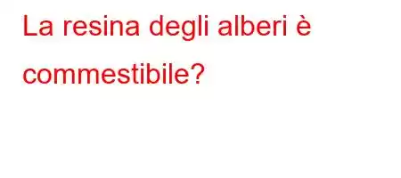 La resina degli alberi è commestibile