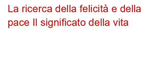 La ricerca della felicità e della pace Il significato della vita