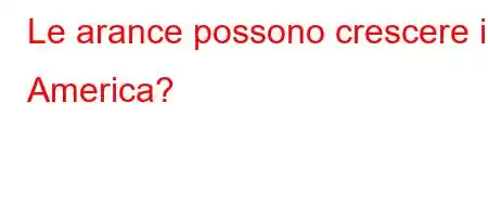 Le arance possono crescere in America?