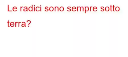 Le radici sono sempre sotto terra?