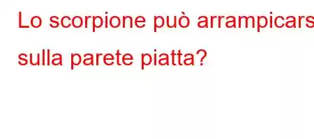 Lo scorpione può arrampicarsi sulla parete piatta