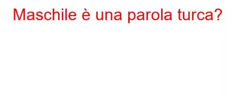 Maschile è una parola turca?