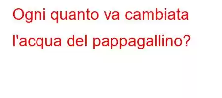 Ogni quanto va cambiata l'acqua del pappagallino?