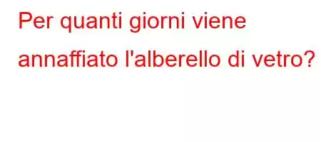 Per quanti giorni viene annaffiato l'alberello di vetro?