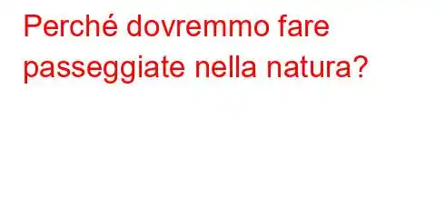 Perché dovremmo fare passeggiate nella natura?